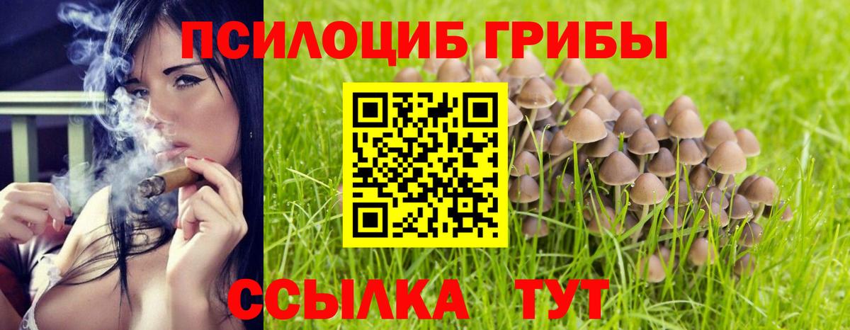 Псилоцибиновые грибы Cubensis  Вход с VPN  Грязи  купить наркоту  Галлюциногенные грибы прущие грибы 